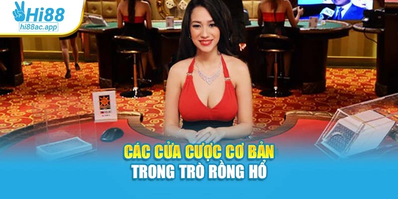 Cách Chơi Baccarat Dễ Hiểu, Dễ Áp Dụng Cho Người Mới 2 Các cửa cược cơ bản trong trò Rồng Hổ