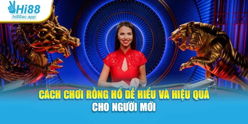 Cách Chơi Rồng Hổ Dễ Hiểu Và Hiệu Quả Cho Người Mới 1 Cách Chơi Rồng Hổ Dễ Hiểu Và Hiệu Quả Cho Người Mới